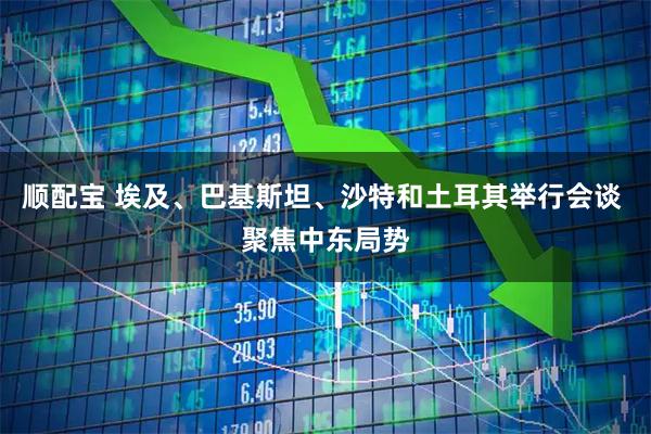 顺配宝 埃及、巴基斯坦、沙特和土耳其举行会谈 聚焦中东局势